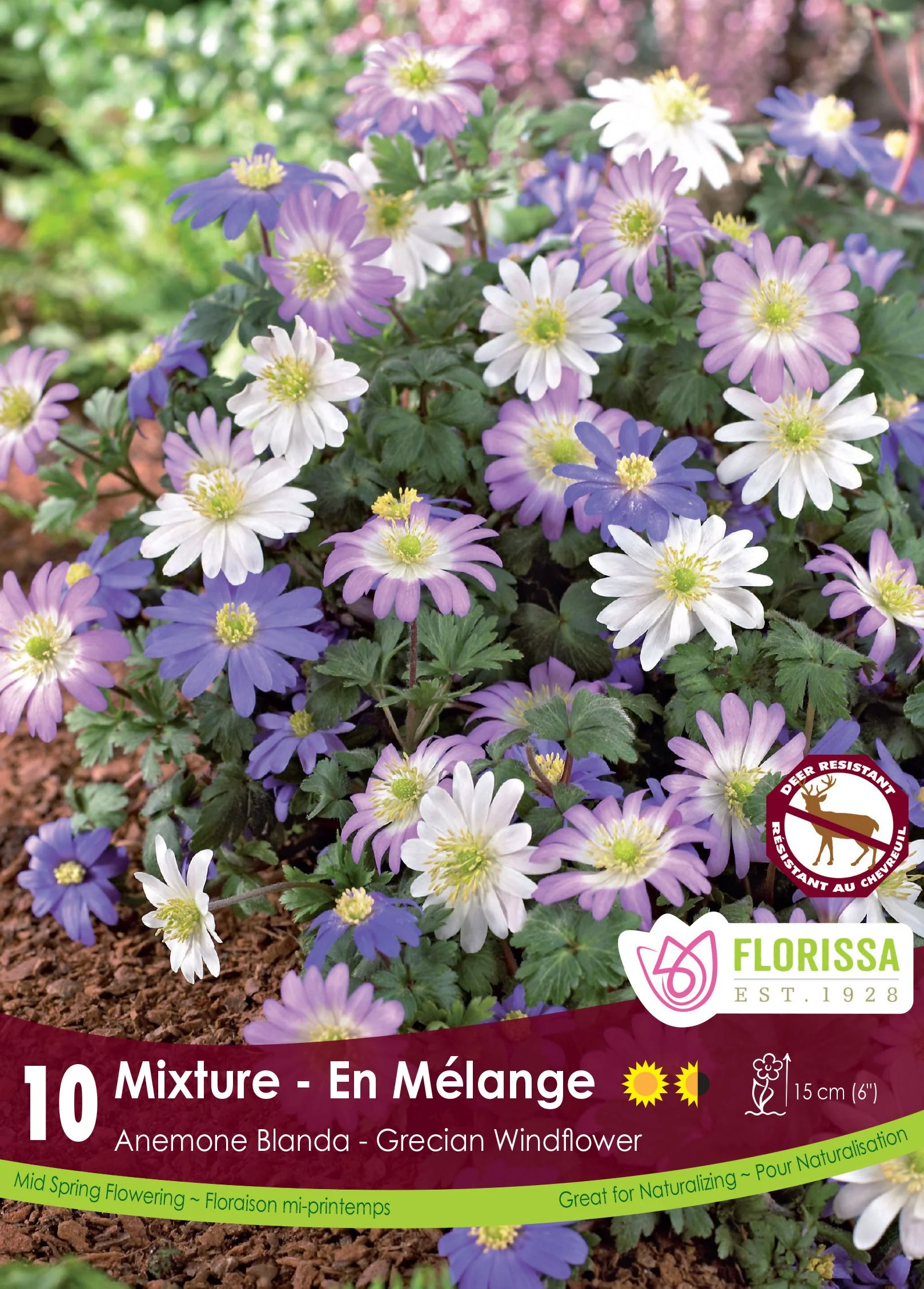 Miniature 1